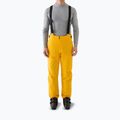 Pantaloni de schi pentru bărbați 4F Fnk M1086 yellow