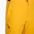 Pantaloni de schi pentru bărbați 4F Fnk M1086 yellow 7
