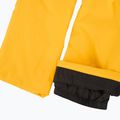 Pantaloni de schi pentru bărbați 4F Fnk M1086 yellow 9