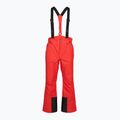Pantaloni de schi pentru bărbați 4F Fnk M1155 red
