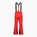 Pantaloni de schi pentru bărbați 4F Fnk M1155 red 2