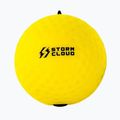 Mingi reflexive StormCloud Reflex Ball Duo yellow/black 3