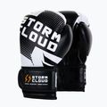 Mănuși de box StormCloud Bolt 3.0 black/white 2