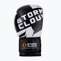 Mănuși de box StormCloud Bolt 3.0 black/white 4