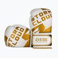 Mănuși de box StormCloud Bolt 3.0 white/gold 3