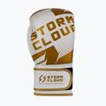 Mănuși de box StormCloud Bolt 3.0 white/gold 4