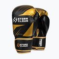 Mănuși de box StormCloud Lynx 2.0 black/gold 2
