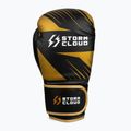 Mănuși de box StormCloud Lynx 2.0 black/gold 4