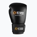 Mănuși de box StormCloud Muay Thai Blizzard 2.0 black/white 2