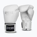Mănuși de box StormCloud Muay Thai Blizzard 2.0 white/silver