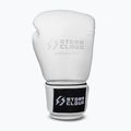 Mănuși de box StormCloud Muay Thai Blizzard 2.0 white/silver 2
