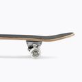 Skateboard clasic pentru învățare 31 Mechanics TR31 6