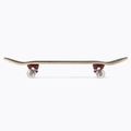 Skateboard clasic Mechanics Professional SPIDER 31, albastru, Pro-SP31 3