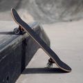 Skateboard clasic Mechanics Professional SPIDER 31, albastru, Pro-SP31 9