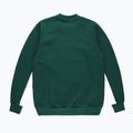 Bluză pentru bărbați PROSTO Classic XXII verde KL222MSWE1034 2