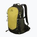 Rucsac de drumeții Alpinus Anayet 25 l galben/verde