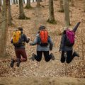 Rucsac de turism Alpinus Tarfala 35 l mustard 4