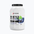 Proteină din zer 7Nutrition Protein 80 afine 7Nu000237 2
