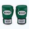 Mănuși de box WINDY Classic Genuine Leather green 2