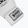 Mănuși de box WINDY Classic Synthetic Leather white 6