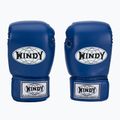Mănuși de box WINDY Classic Synthetic Leather blue 2