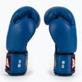 Mănuși de box RAJA BOXING Single Standard Genuine Leather blue 4