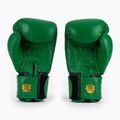 Mănuși de box RAJA BOXING Single Standard Genuine Leather green 3