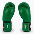Mănuși de box RAJA BOXING Single Standard Genuine Leather green 4