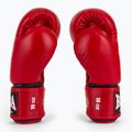 Mănuși de box RAJA BOXING Single Standard Genuine Leather red 4