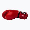 Mănuși de box RAJA BOXING Single Standard Genuine Leather red 4