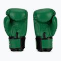 Mănuși de box RAJA BOXING Single Semi Leather green 3
