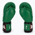 Mănuși de box RAJA BOXING Single Semi Leather green 4