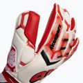 Mănuși de portar 4keepers Force V 4.20 HB alb-roșii 4KEEPERS-4342 3