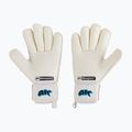 Mănuși de portar pentru copii 4keepers Champ Aq Contact V Rf albe 2