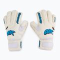Mănuși de portar 4keepers Champ Aqua V Rf alb-albastre