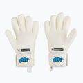 Mănuși de portar 4keepers Champ Aqua V Nc alb-albastre 2