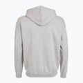 Hanorac pentru bărbați PROSTO Hoodie Logo Zip gray 2