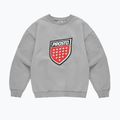 Bluză pentru bărbați PROSTO Big Shield Crewneck gray