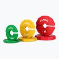 Greutate pe echipament de tip suprapunere HMS TSN25 2 x 0,25 kg green 3