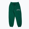 Pantaloni de antrenament pentru bărbați MANTO Varsity green MNS546_GRE