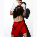 Pantaloni scurți de box pentru bărbați MANTO Varsity roșu 6