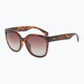 Ochelari de soare pentru femei GOG Sisi fashion maro demi / maro gradient E733-2P 6