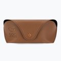 Ochelari de soare pentru femei GOG Hazel fashion negru / maro demi / gradient smoke E808-1P 5