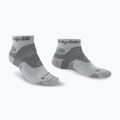 Șosete de trekking pentru bărbați Bridgedale Hike Midweight Performance Ankle silver/black