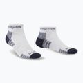 Șosete pentru bărbați Bridgedale Hike Lightweight Performance Ankle silver/navy