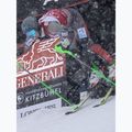 Ghete de schi   Dalbello DRS WC H white/race green 7