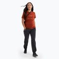 Tricou pentru femei Arc'teryx Arc'Word Cotton sequoia/ solaris 2