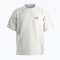 Tricou pentru bărbați  Arc'teryx Kragg Cotton Logo white light / soul