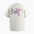 Tricou pentru bărbați  Arc'teryx Kragg Cotton Logo white light / soul 2