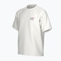 Tricou pentru bărbați  Arc'teryx Kragg Cotton Logo white light / soul 3